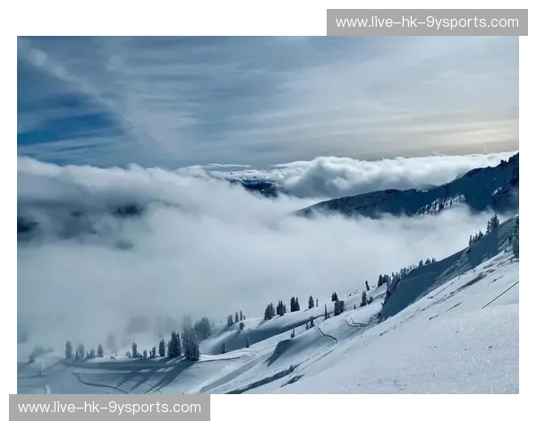 西雅图vs.盐湖城：太平洋之滨的咖啡香与落基山脉的清风，哪座城市更能触动你的心弦？